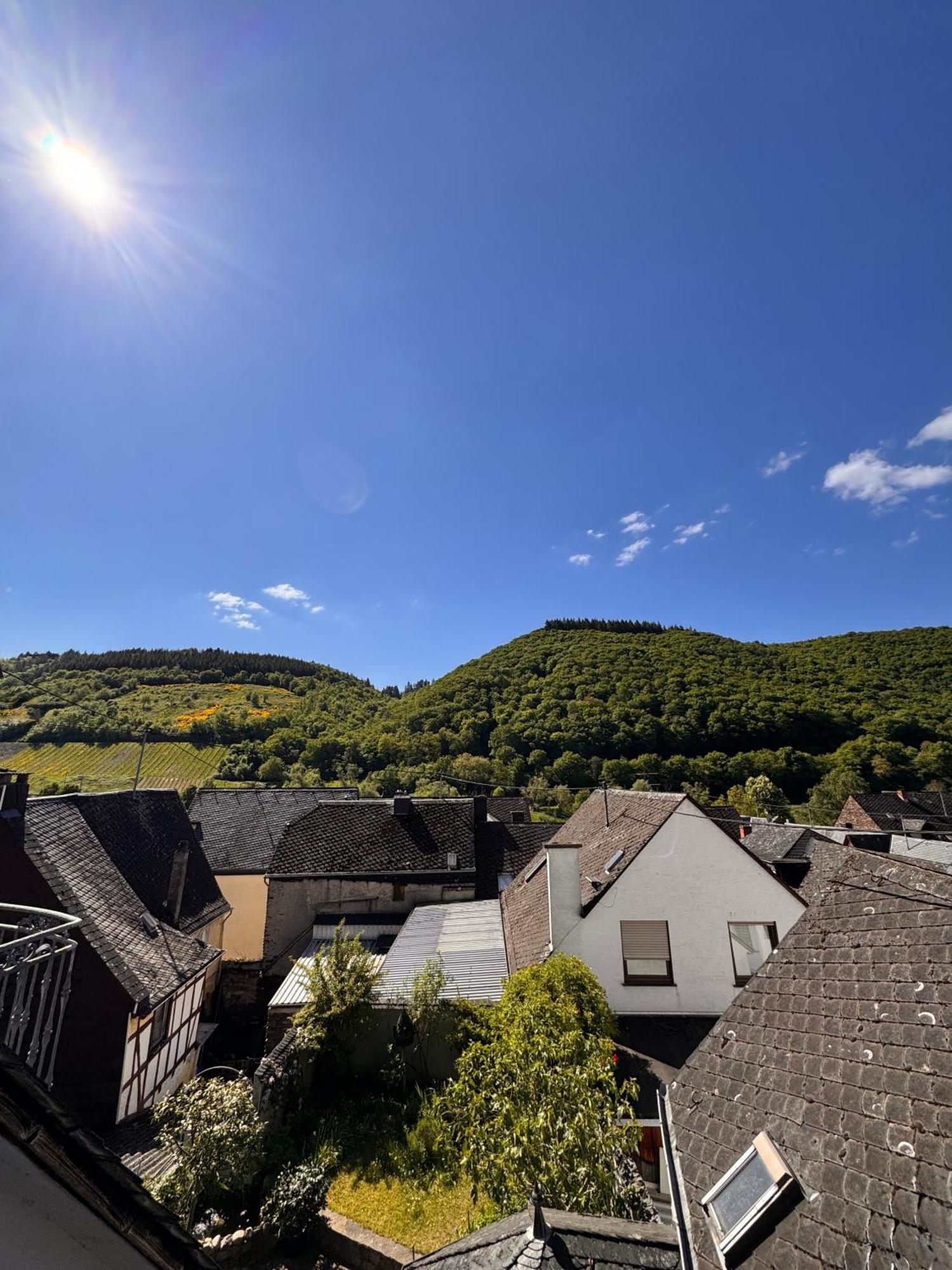 Отель Ferienweingut Rudorfer Фальвиг Номер фото