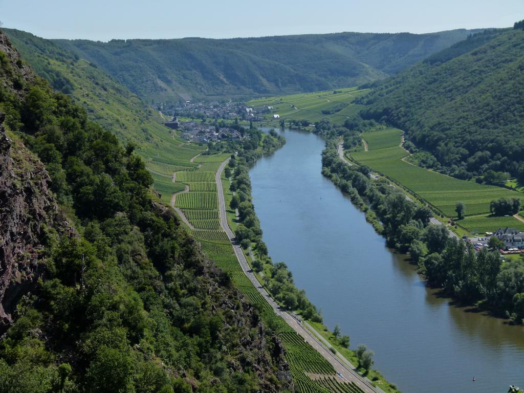 Отель Ferienweingut Rudorfer Фальвиг Экстерьер фото