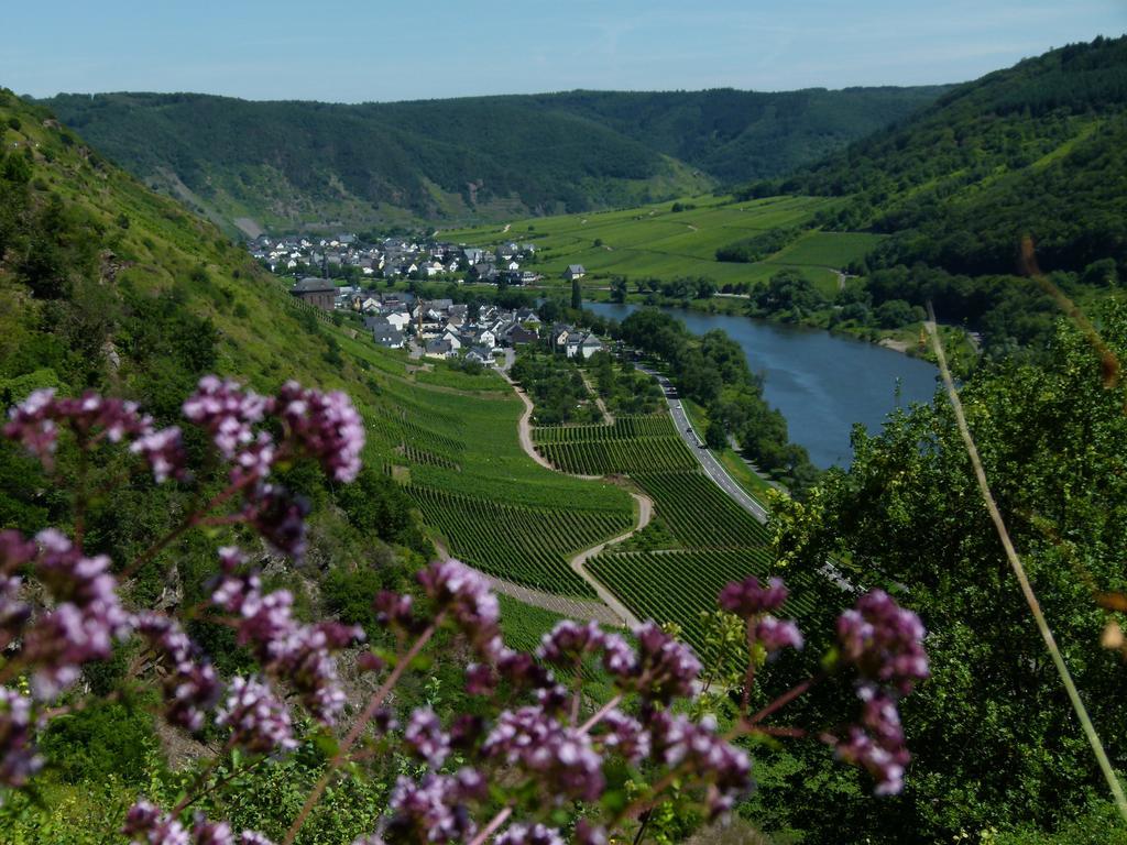 Отель Ferienweingut Rudorfer Фальвиг Экстерьер фото